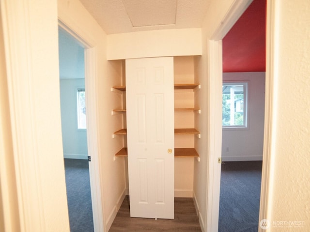 2840 SW 342nd St, Federal Way, WA 98023 - corridor with dark carpet and dark wood finished floors