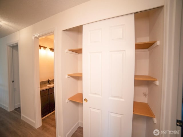2840 SW 342nd St, Federal Way, WA 98023 - view of closet
