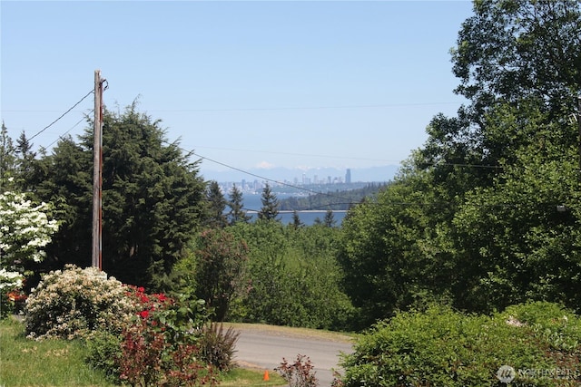 3188 Hinkley Rd SE, Port Orchard, WA 98366 - photo 2