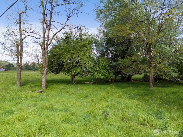 0 Pe Ell Mcdonald Rd, Chehalis, WA 98532 - photo 6