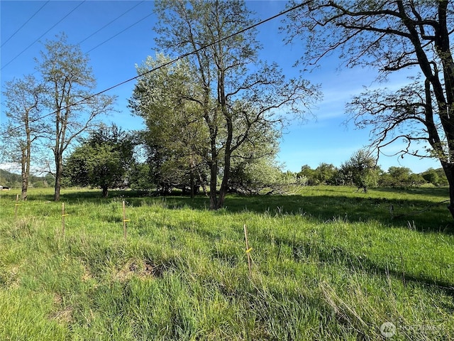 0 Pe Ell Mcdonald Rd, Chehalis, WA 98532 - photo 4