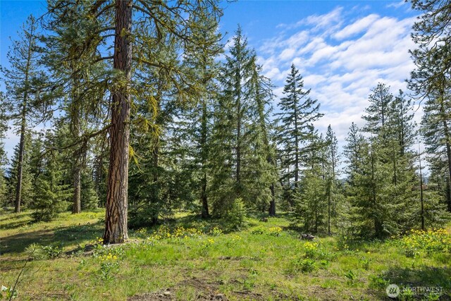16 Wanawish Loop, Cle Elum, WA 98922