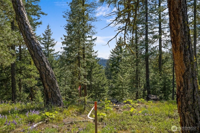 16 Wanawish Loop, Cle Elum, WA 98922