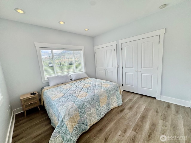 31 Apple Meadow Dr, Tonasket, WA 98855 - bedroom featuring two closets, wood finished floors, recessed lighting, and baseboards