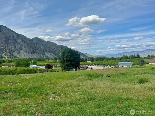 31 Apple Meadow Dr, Tonasket, WA 98855 - mountain view with rural landscape