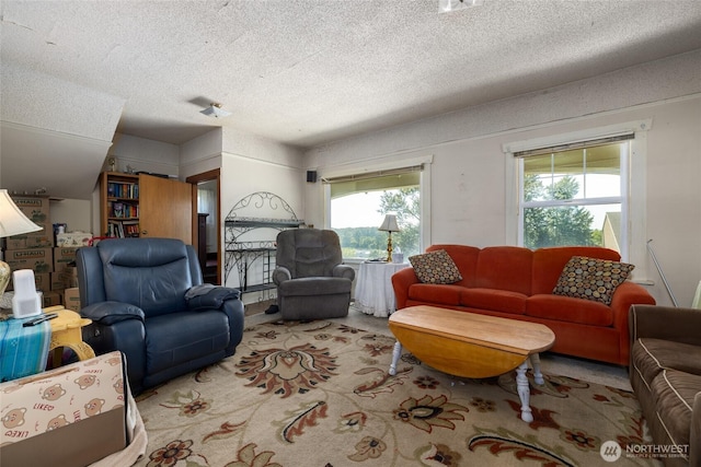 214 N 4th St, Mount Vernon, WA 98273 - living room featuring a textured ceiling, healthy amount of natural light, and carpet floors