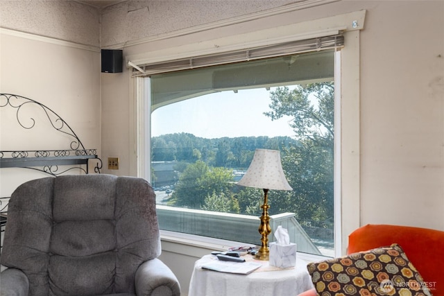 214 N 4th St, Mount Vernon, WA 98273 - living area featuring plenty of natural light