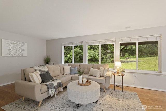 820 173rd Ave NE, Bellevue, WA 98008 - living room featuring healthy amount of natural light, wood finished floors, and baseboards