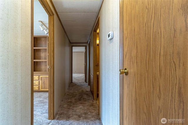 545 NE Troutdale Ave, College Place, WA 99324 - hall with carpet flooring and built in shelves
