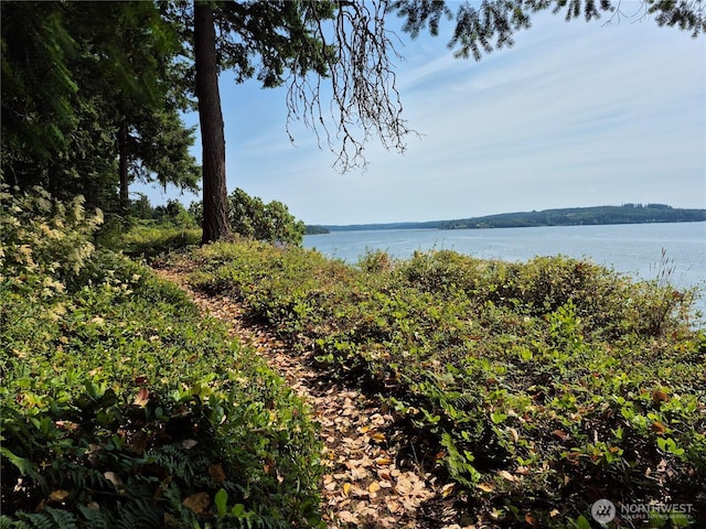 35275 Hood Canal Dr NE, Kingston, WA 98346 - photo 4