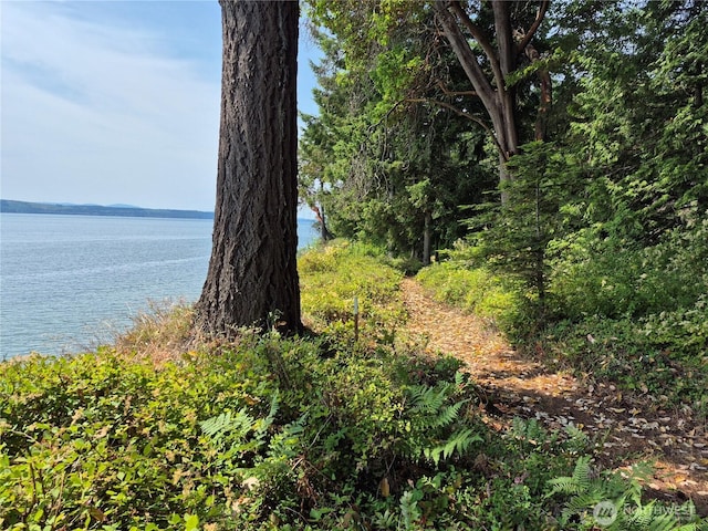 35275 Hood Canal Dr NE, Kingston, WA 98346 - photo 5