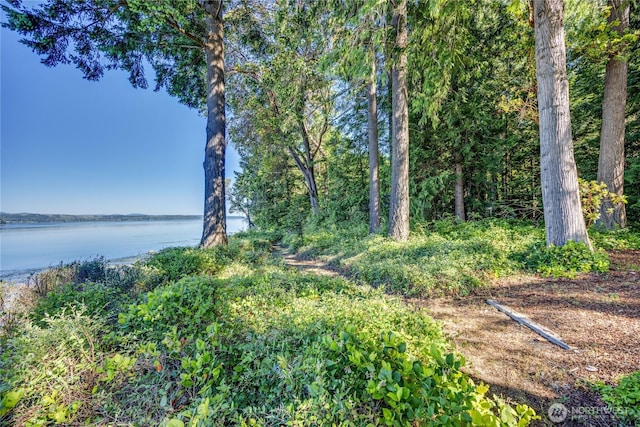 35275 Hood Canal Dr NE, Kingston, WA 98346 - photo 9