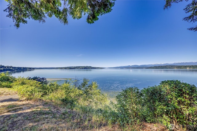 35275 Hood Canal Dr NE, Kingston, WA 98346 - photo 10