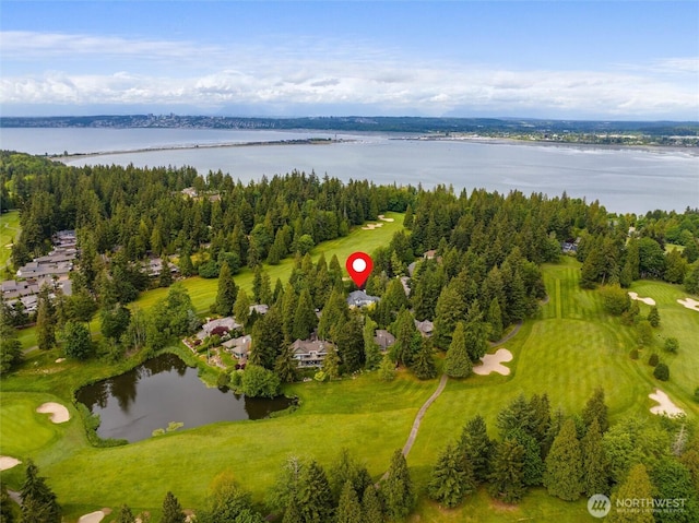 5426 Quail Run, Blaine, WA 98230 - bird's eye view of a large body of water and a golf course