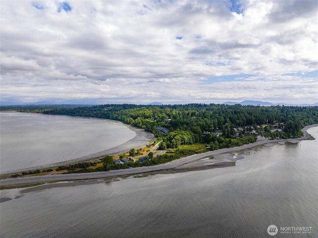 5426 Quail Run, Blaine, WA 98230 - drone / aerial view of a forest and a large body of water