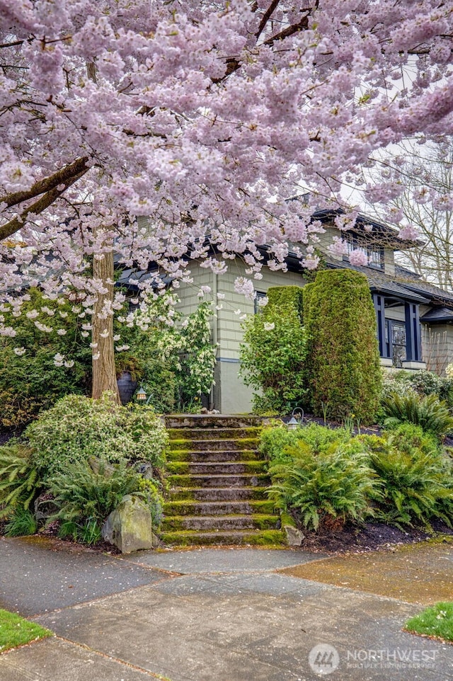 903 W Newell St, Seattle, WA 98119 - view of side of home