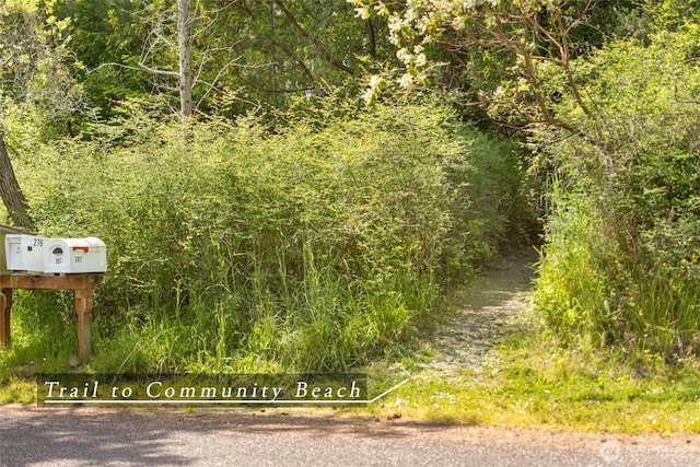 375 De Haro Ln W, Friday Harbor, WA 98250 - photo 23