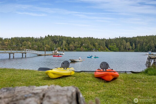 375 De Haro Ln W, Friday Harbor, WA 98250 - photo 5