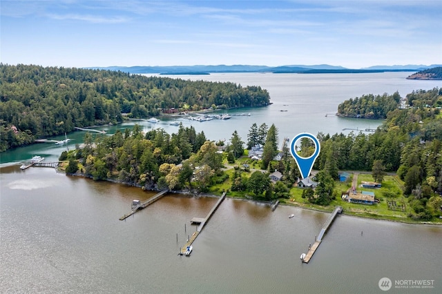 375 De Haro Ln W, Friday Harbor, WA 98250 - photo 36