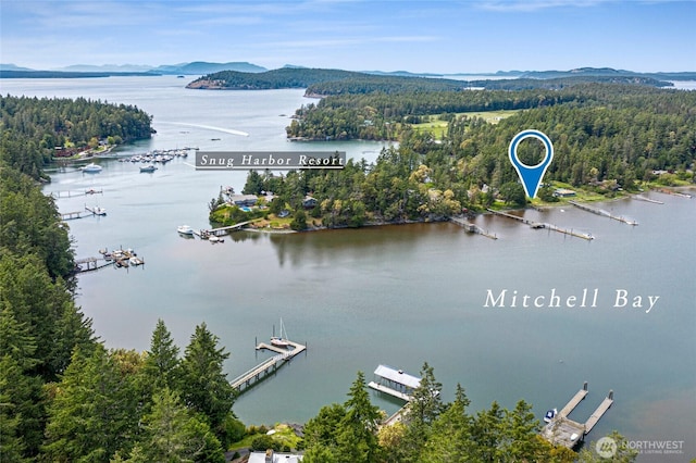 375 De Haro Ln W, Friday Harbor, WA 98250 - photo 38