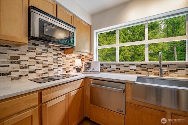 5430 Snow Goose Ln Unit 202, Blaine, WA 98230 - kitchen with stainless steel microwave, black electric cooktop, a sink, and healthy amount of natural light