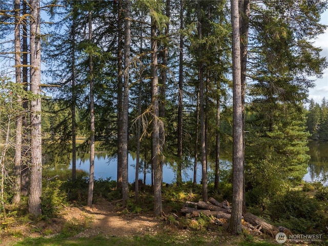 water view featuring a forest