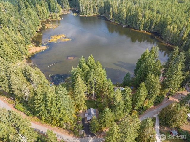 aerial overview of property's location featuring a forest and a nearby body of water
