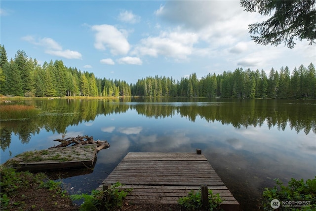 dock featuring a wooded view and a water view