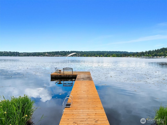 16929 Inglewood Rd NE Unit C206, Kenmore, WA 98028 - dock area featuring a water view