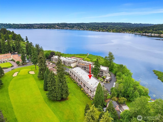 16929 Inglewood Rd NE Unit C206, Kenmore, WA 98028 - drone / aerial view of a large body of water and a golf course