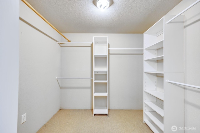 walk in closet featuring carpet flooring