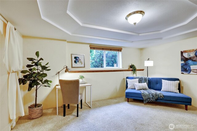 living area featuring a raised ceiling and carpet flooring