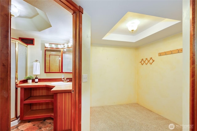 bathroom with a tray ceiling, vanity, and a shower with door