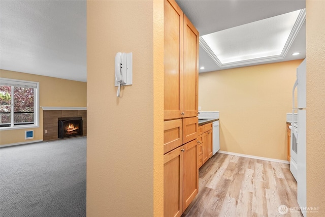 6055 35th Ave SW Unit 207, Seattle, WA 98126 - kitchen featuring a warm lit fireplace, light wood-type flooring, dishwasher, and baseboards