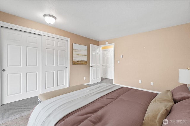 6055 35th Ave SW Unit 207, Seattle, WA 98126 - bedroom featuring carpet floors, baseboards, and a closet