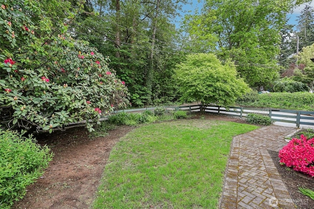 3532 NE 97th St, Seattle, WA 98115 - view of yard