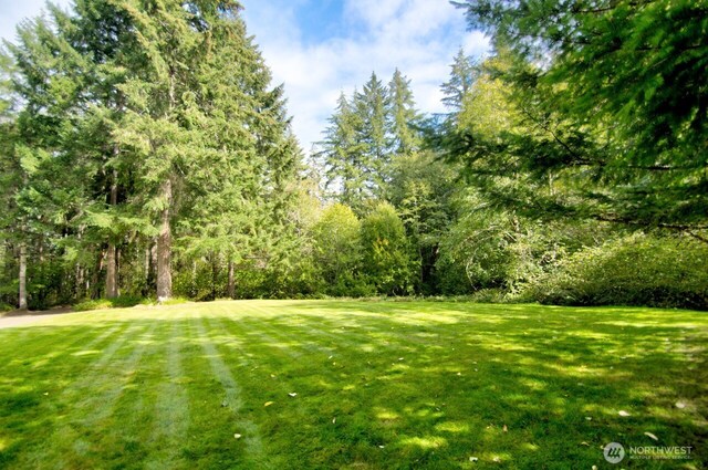 4840 Grand Fir Ln NW, Olympia, WA 98502 - photo 31