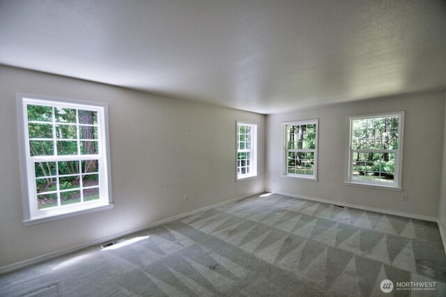 4840 Grand Fir Ln NW, Olympia, WA 98502 - photo 10