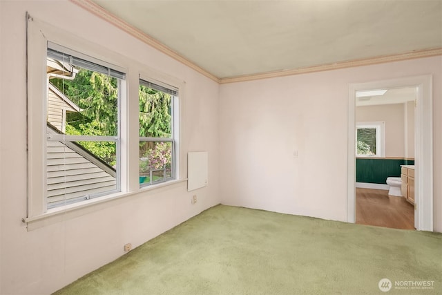 unfurnished room featuring carpet flooring and crown molding