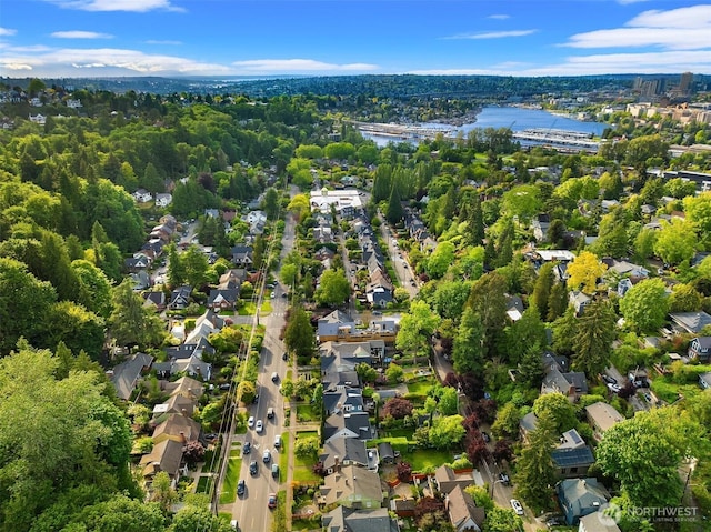 aerial perspective of suburban area with a large body of water