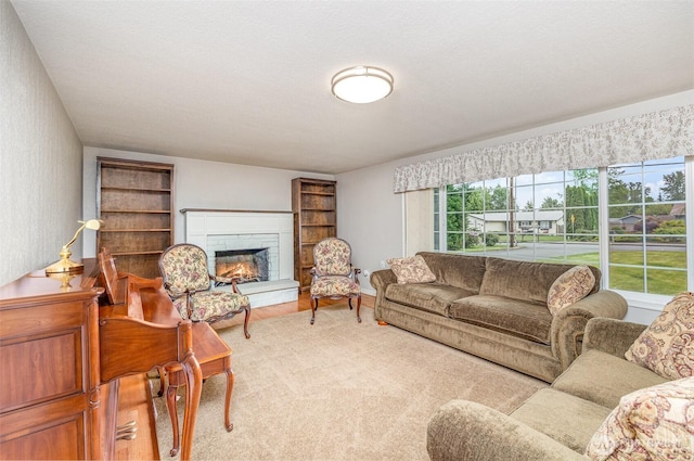 2103 106th St SW, Everett, WA 98204 - living room with plenty of natural light, a fireplace, and light wood-type flooring