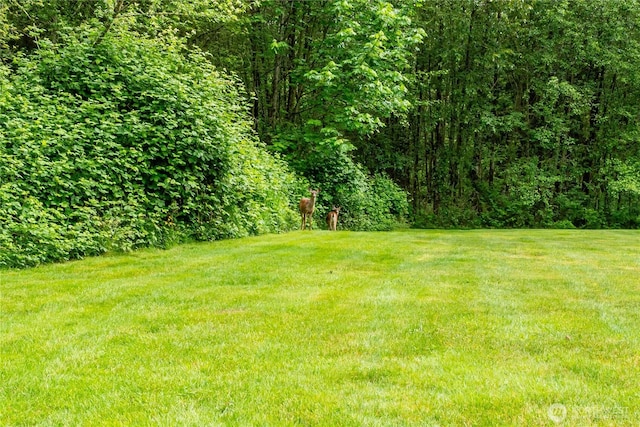 5215 E Lake Bosworth Dr, Snohomish, WA 98290 - view of grassy yard