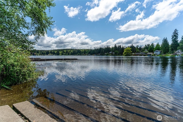 5215 E Lake Bosworth Dr, Snohomish, WA 98290 - water view featuring a heavily wooded area