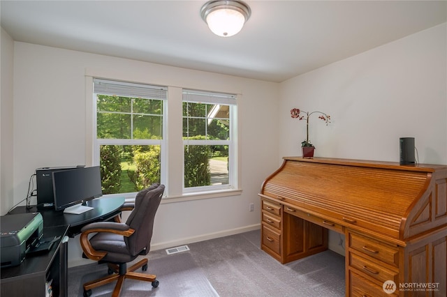 5215 E Lake Bosworth Dr, Snohomish, WA 98290 - office with carpet floors and baseboards