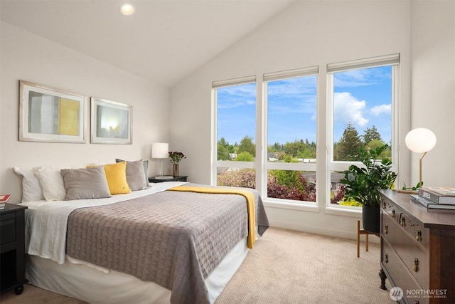 4321 S Webster St # E, Seattle, WA 98118 - bedroom with light carpet, lofted ceiling, multiple windows, and recessed lighting