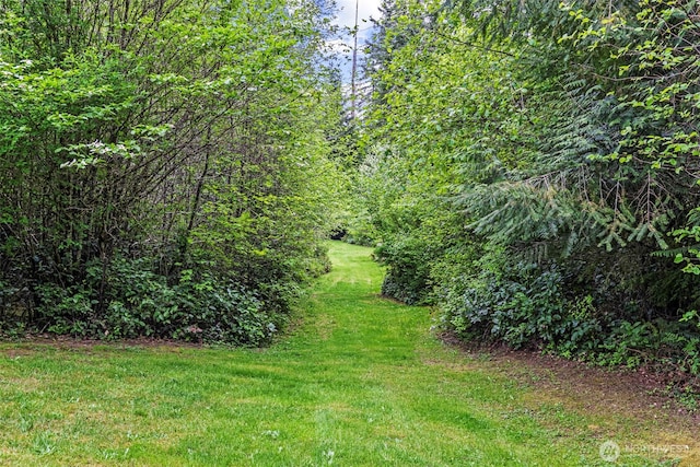 108 Reynolds Rd, Castle Rock, WA 98611 - view of green lawn featuring a wooded view