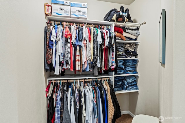 108 Reynolds Rd, Castle Rock, WA 98611 - walk in closet featuring carpet floors