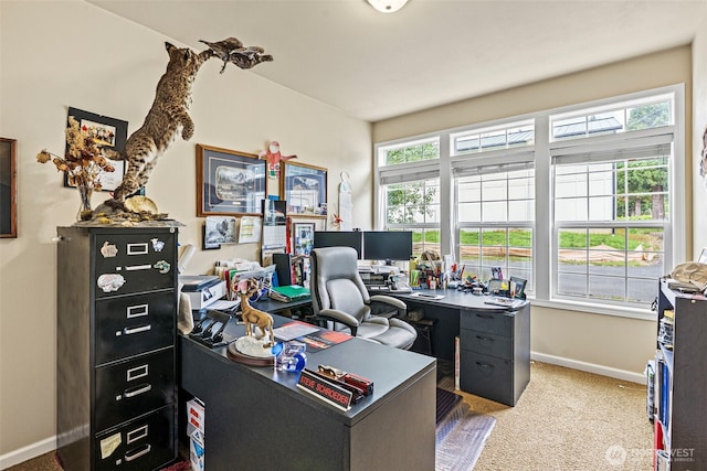 108 Reynolds Rd, Castle Rock, WA 98611 - office space with baseboards and carpet floors