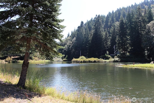 1116 Island Dr, Lummi Island, WA 98262 - water view with a heavily wooded area