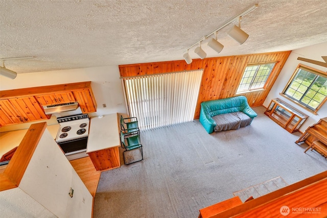 257 Point Brown Ave SW, Ocean Shores, WA 98569 - living area with rail lighting, carpet floors, a textured ceiling, and wood walls